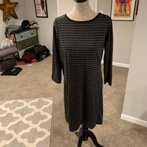 Loft dress NWT